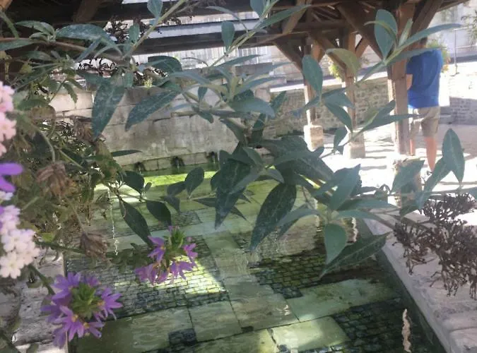 La Parenthese Du Capucin *